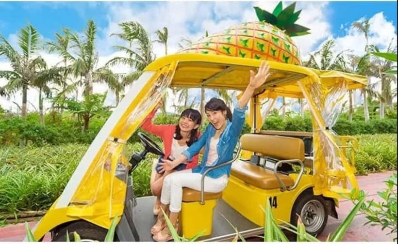Naha: North Okinawa Sightseeing Tour & Churaumi Aquarium - The guide, audio system, and overall organization