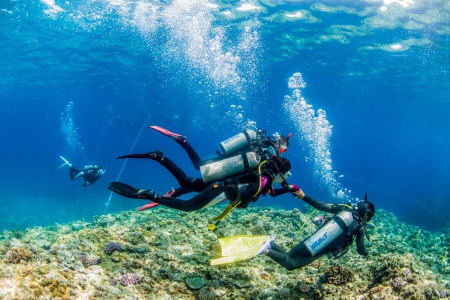 Naha, Okinawa: Kerama Islands Full-Day Intro-Diving Trip - What makes the guides so important