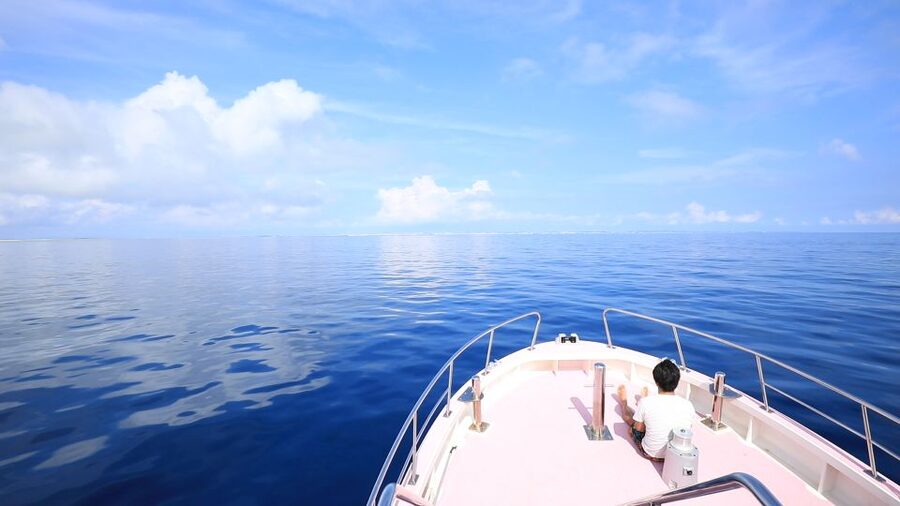Naha, Okinawa: Kerama Islands Half-Day Whale Watching Tour - What the four-hour schedule feels like