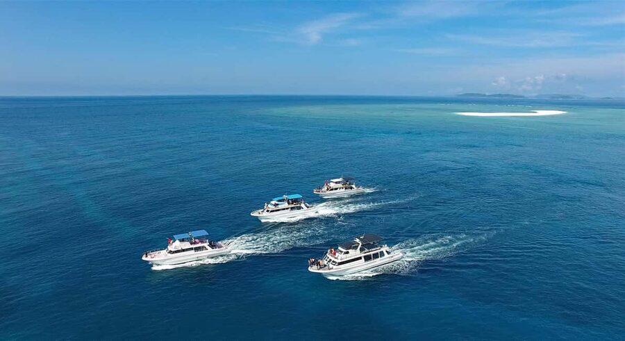 Naha, Okinawa: Kerama Islands Half-Day Whale Watching Tour - Is $37 good value?