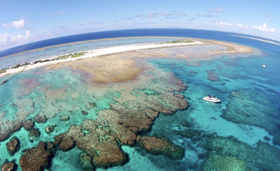 Naha, Okinawa: Keramas Island Snorkeling Day Trip with Lunch - Five things worth knowing before you book