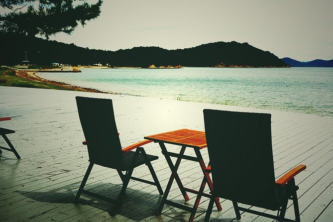Naoshima private tour by national licensed tourguide - Benesse House Museum in 45 minutes