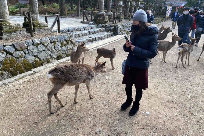 Nara 6hr Private Tour with Government-Licensed Guide - Kofuku-ji and the Fujiwara connection