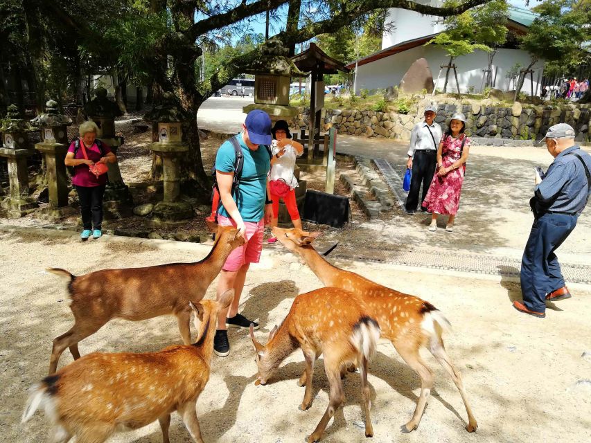 Nara: City Highlights Shared Group or Private Bike Tour - Kikuichi and the practical side of Japanese craft