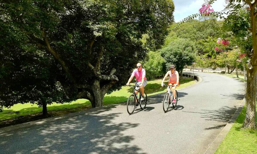 Nara: City Highlights Shared Group or Private Bike Tour - Kasuga Taisha and the thousand lanterns