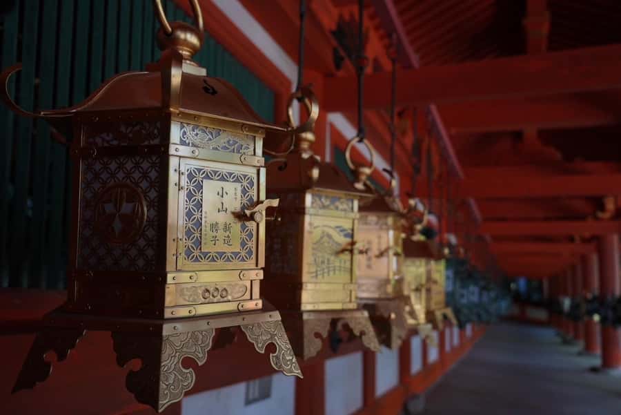 Nara Early Bird Tour (Kyoto Departure Option Available) - Kofuku-ji Temple gives you the first history lesson