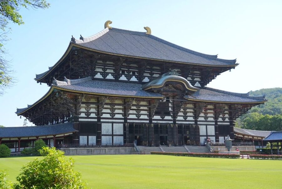 Nara Early Bird Tour (Kyoto Departure Option Available) - Nara Park and the famous deer