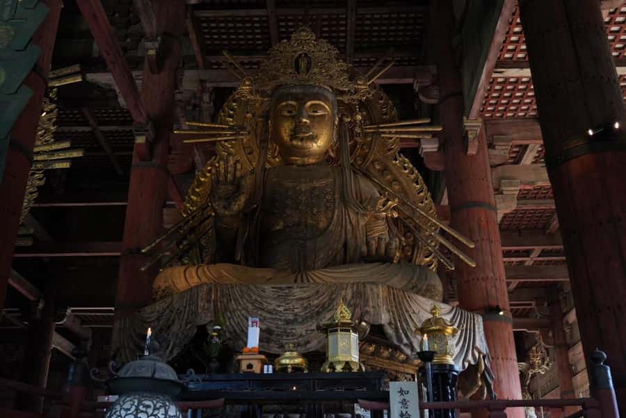 Nara Early Bird Tour (Kyoto Departure Option Available) - What the tour does not include
