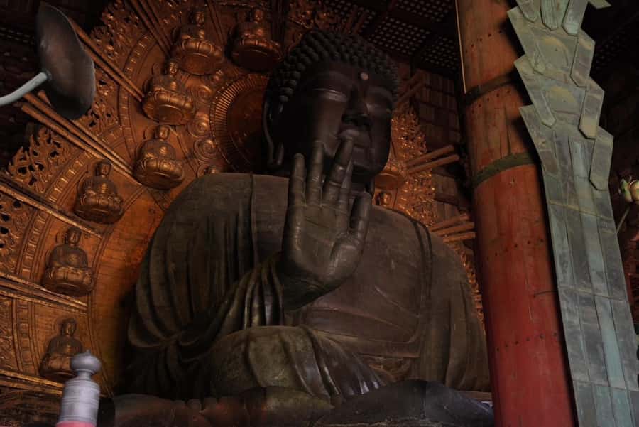 Nara Early Bird Tour (Kyoto Departure Option Available) - Walking, age limits, and who should book