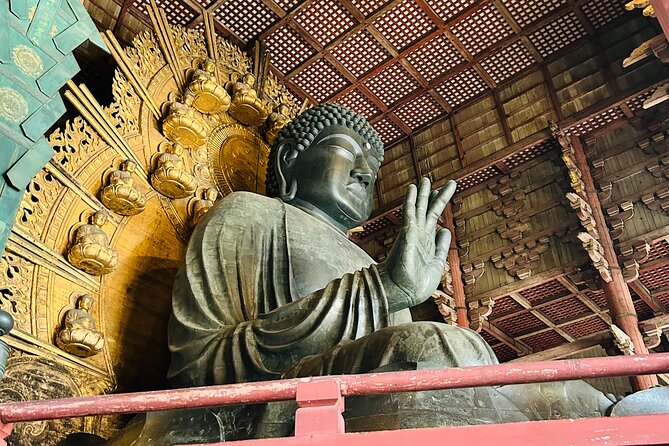 Nara Early Morning Tour (Kyoto or Osaka Departure Available) - Nara Park and the Deer Encounter