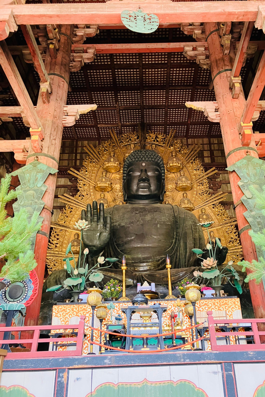 Nara: Essential Private Tour with Deer Park and Temples - Nara Park: Deer, Space, and Simple Rules
