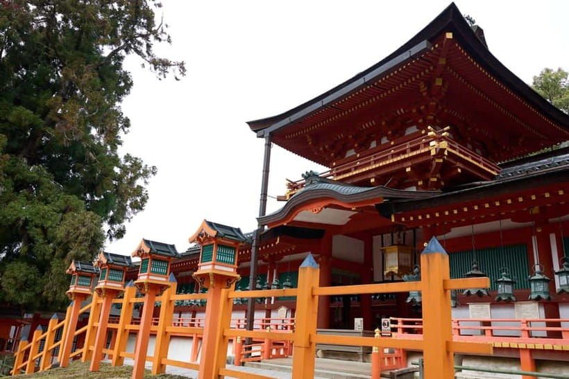 Nara: Great Buddha, Kasuga Shrine & Deer Park Tour - The Guides Make the Difference
