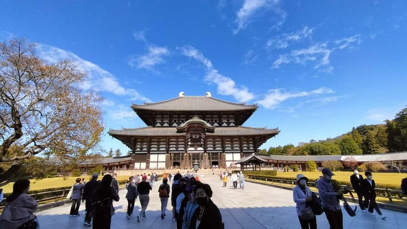 Nara: Great Buddha, Kasuga Shrine & Deer Park Tour - Who Should Book This Experience?