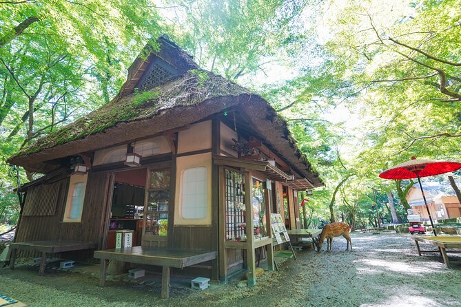 Nara Half Day Trip Walking Tour (Private Option Available) - A traditional lunch in an old Nara restaurant