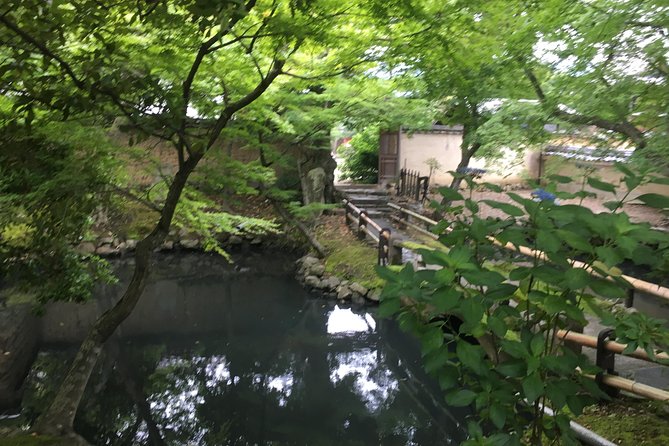 Nara Half Day Trip Walking Tour (Private Option Available) - Kasuga Taisha and the forest edge