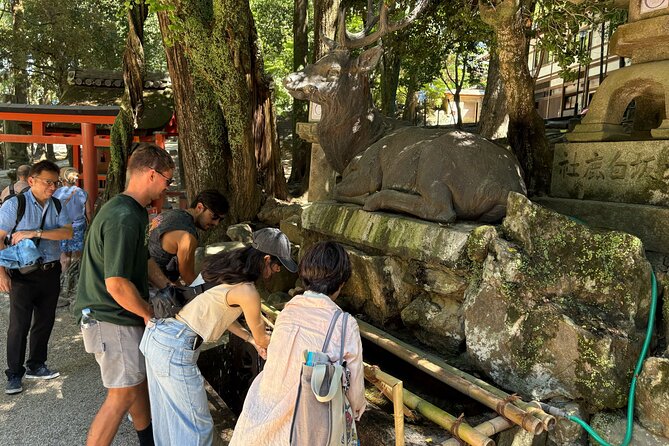 Nara Highlight Walking Tour with Furoshiki Experience with Lunch - Naramachi and the 1917 townhouse
