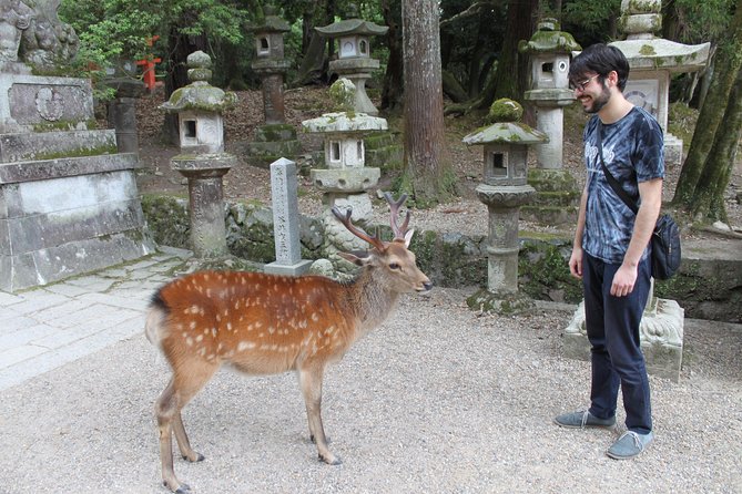 Nara - Highlights Bike Tour - Todai-ji’s Grand South Gate and its fierce guardians