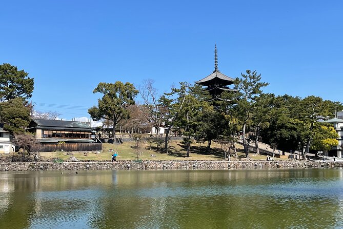 Nara Private Tour: Flexible Pickup from Kyoto, Osaka, or Nara - Horyu-ji: a major site that needs a longer day