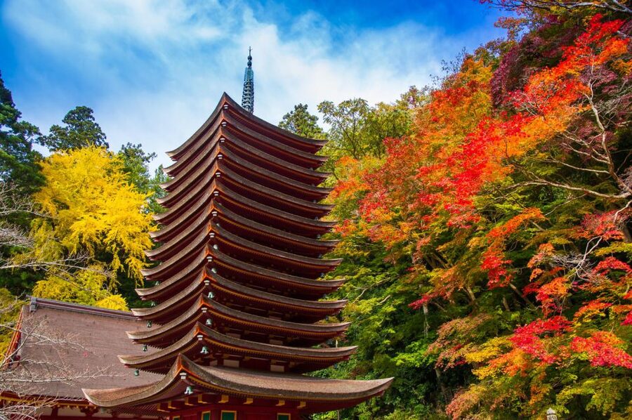 Nara: Private Tour with Private Guide - The Nara highlights that matter most
