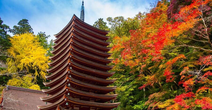 Nara: Private Tour with Private Guide - Why a private Nara tour can be worth the money