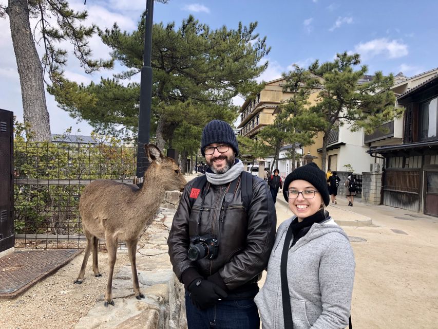 Nara: Private Tour with Private Guide - Starting the day from Kyoto, Osaka, or Nara