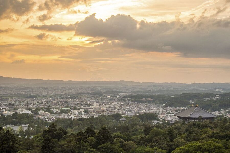 Nara: Private Walking Tour with a Local - Five things to know before booking