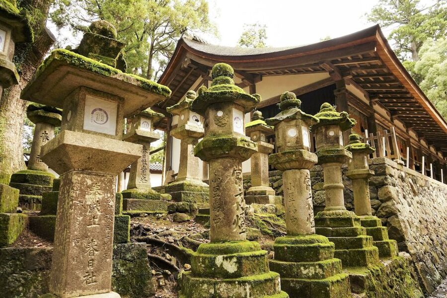 Nara: Private Walking Tour with a Local - The sights are chosen around your interests