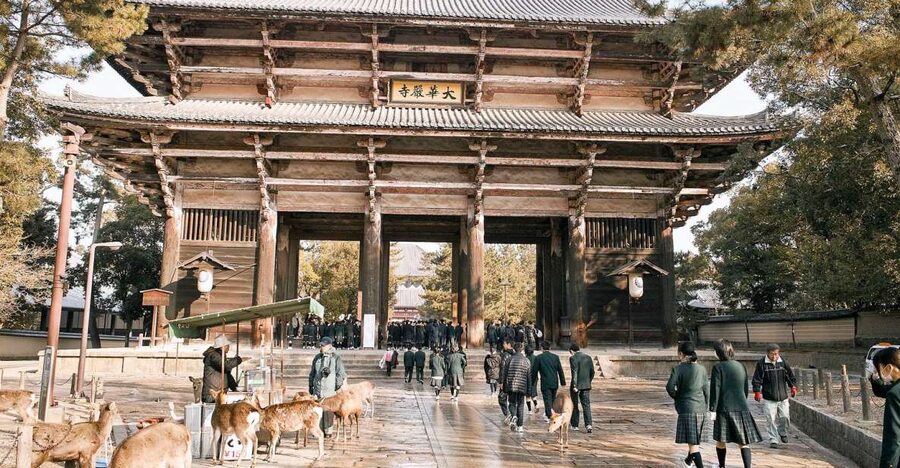 Nara: Private Walking Tour with a Local - Meeting at JR Nara Station or Naramachi