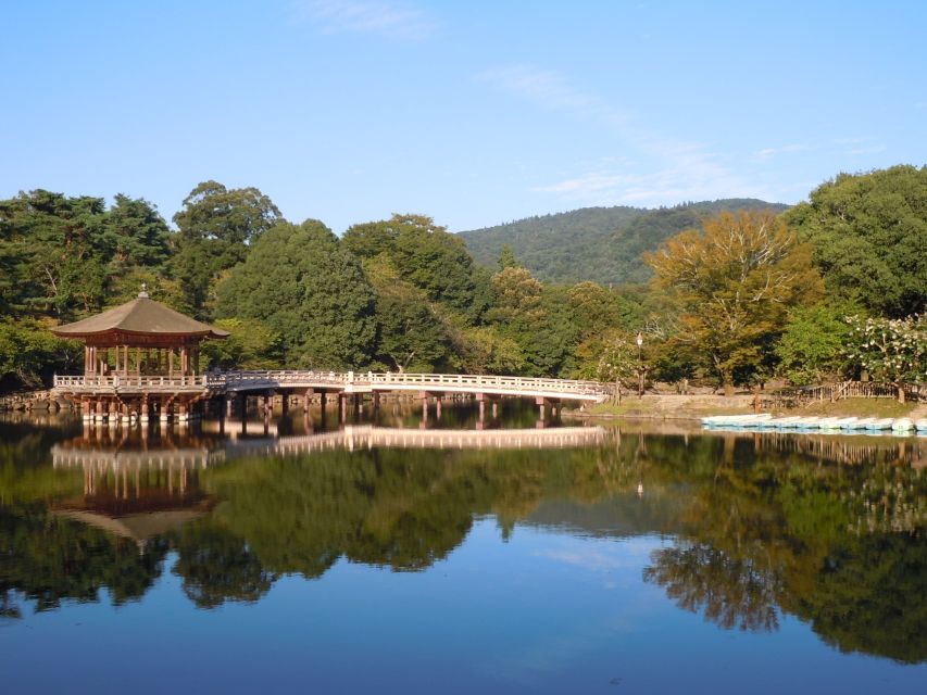 Nara: Todai-ji y parque de Nara (Spanish Guide) - Key points to know before booking