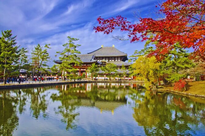 Nara, Todaiji Temple & Kuroshio Market Day BUS Tour from Osaka - What this Osaka day trip is trying to do