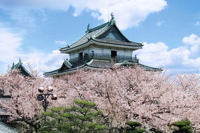 Nara, Todaiji Temple & Kuroshio Market Day BUS Tour from Osaka - What the $99 price really covers