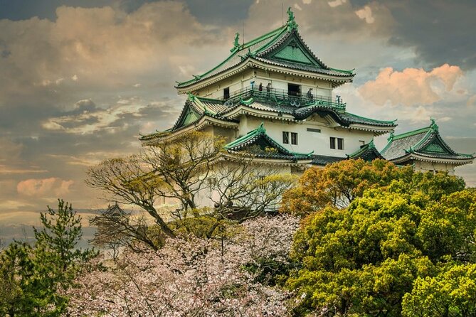 Nara, Todaiji Temple & Kuroshio Market Day BUS Tour from Osaka - Who should book this route