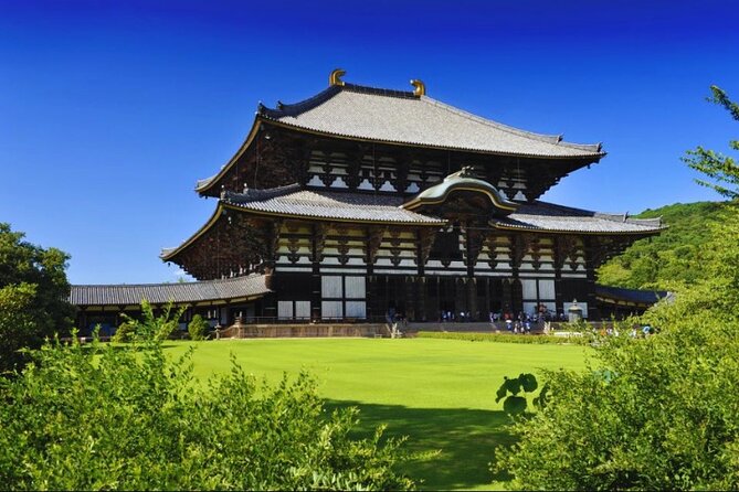 Nara, Todaiji Temple & Kuroshio Market Day BUS Tour from Osaka - Wakayama Castle: a short look at a historic landmark