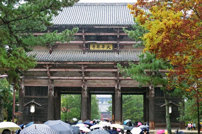 Nara World Heritage PRIVATE TOUR - Feeding the Deer in Nara Park