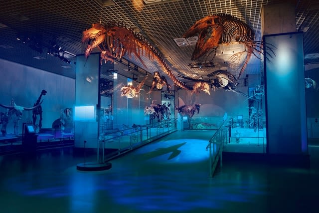 National Museum of Nature and Science Ticket in Tokyo - Fossils, animals, and small things worth slowing down for