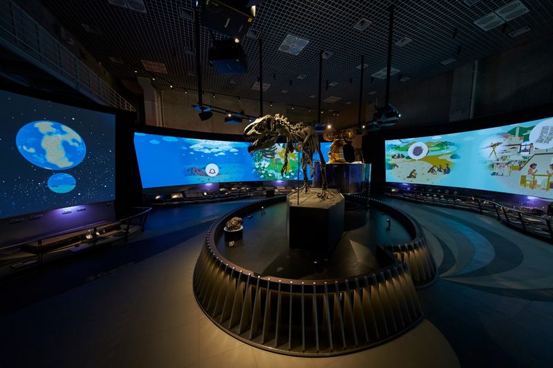 National Museum of Nature and Science Ticket in Tokyo - Japan’s science story adds local context