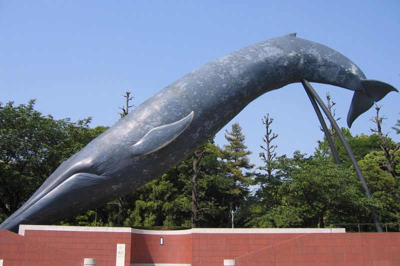 National Museum of Nature and Science Ticket in Tokyo - Two galleries, two ways into the subject