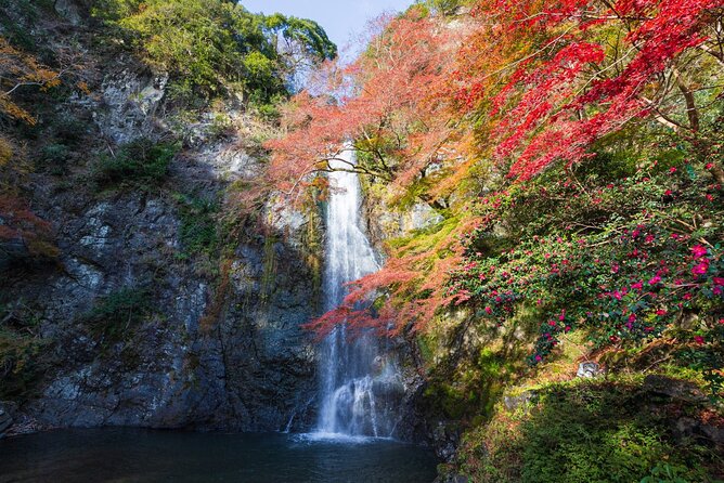 Nature Walk at Minoo Park, the Best Nature and Waterfall in Osaka - The walk through Minoo Park
