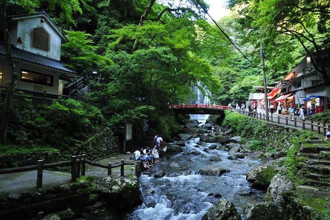 Nature Walk at Minoo Park, the Best Nature and Waterfall in Osaka - What the guide can add to the experience