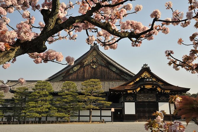 Nijo Castle Samurai Inside Story — Top-Rated Guide (Max 8) - Who should book this experience?