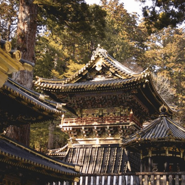 Nikko Heritage & Nature Day Trip from Tokyo - Irohazaka Road and the climb into the mountains