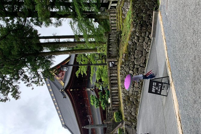 Nikko one day trip GREEN NUMBER PLATES - Comfort, group size, and the real value of $520