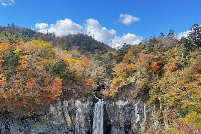 Nikko Private Day Tour with Guide by Car (from Tokyo) - What the private car changes