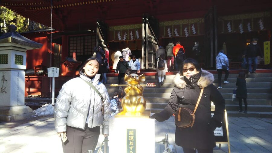 Nikko: Private Walking Tour with Local Guide - Toshogu Shrine and the art of Edo Japan