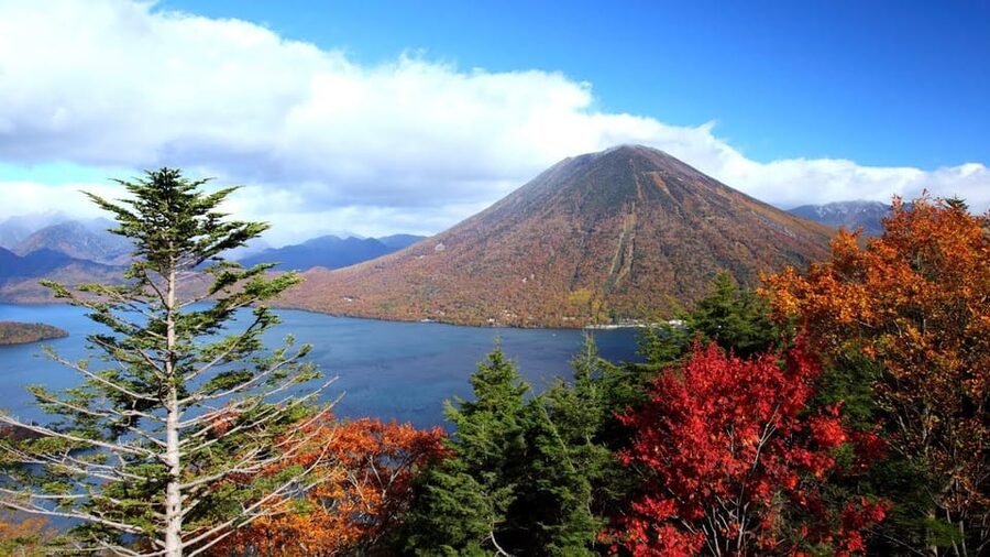 Nikko: Private Walking Tour with Local Guide - How much time six hours really gives you