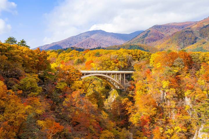 North Japan by Europamundo - 11-Day Tour from Tokyo Review - Hirosaki, Aomori and the ferry to Hakodate