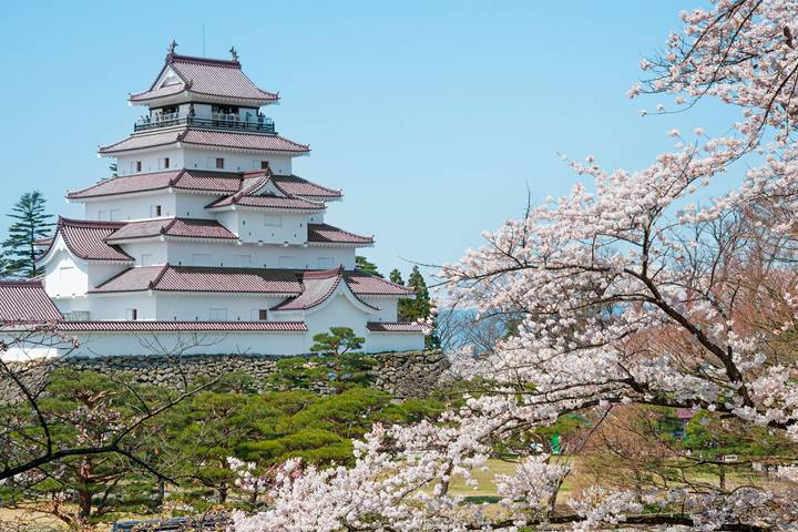 North Japan by Europamundo - 11-Day Tour from Tokyo Review - Hotels, meals and the value of the price