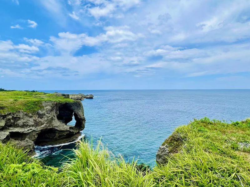 Northern Okinawa: Churaumi Aquarium & Kouri Island & Cape Manza & American Village Day Tour (Departing from Naha & Chatan) - At a glance: four stops, one long day
