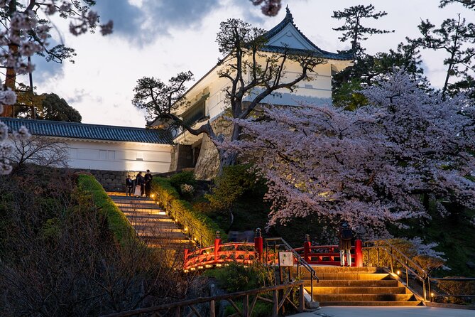 Odawara Castle and Town Guided Discovery Tour - Meeting the ninja at the Ninja Museum