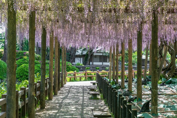 Odawara Castle and Town Guided Discovery Tour - A quiet stop at Hotokuninomiya Shrine